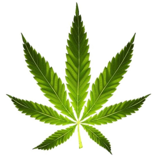 2X Mary Jane