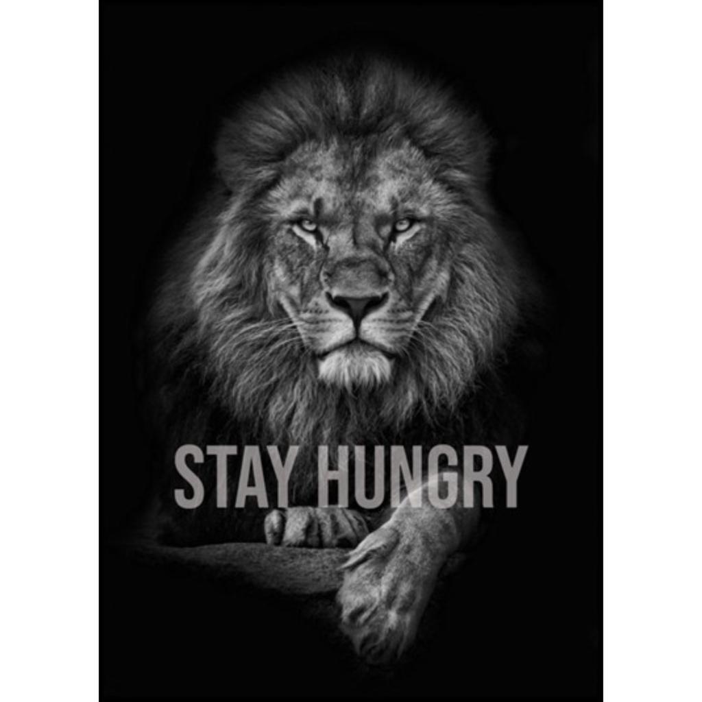 2X Stay Hungry
