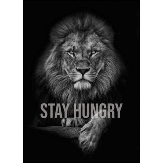 2X Stay Hungry